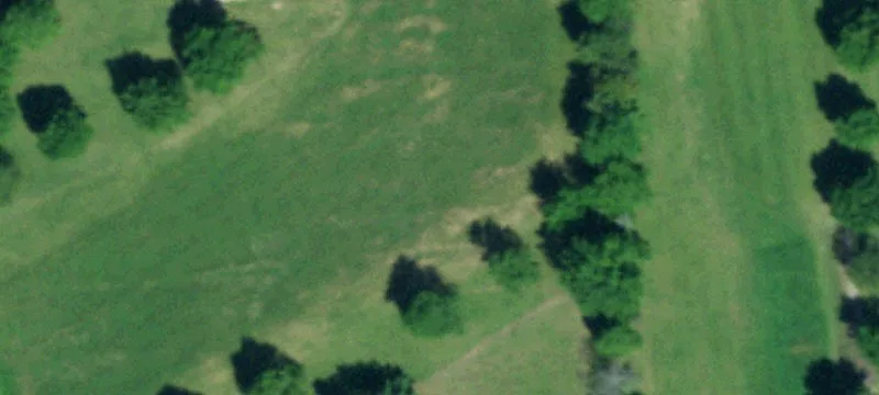 6020 Townline Rd