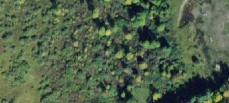7255 Us Hwy 11
