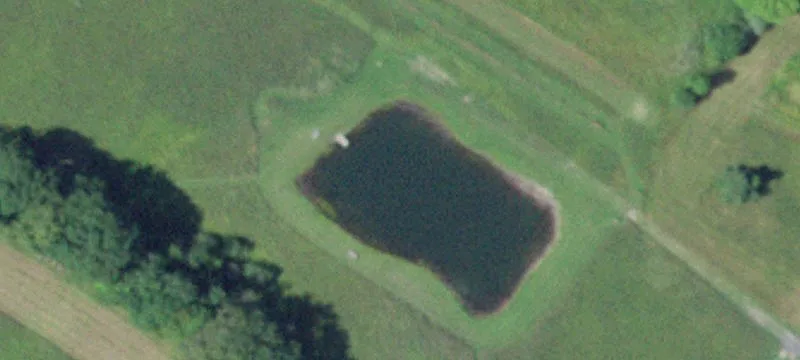 990 State Hwy 163