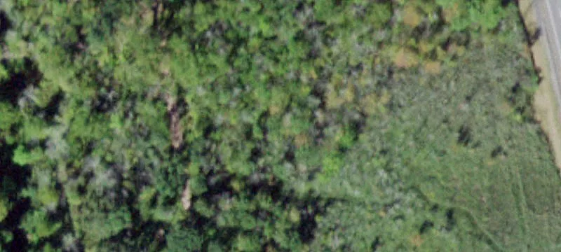 99 Estrada Rd