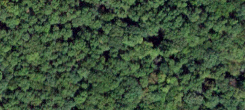 31 Barron Rd