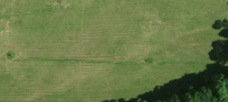 Wl Site