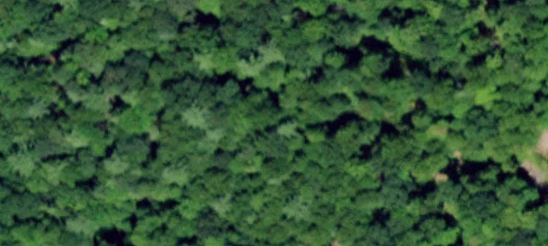 Shenandoah Dr