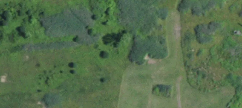 3229 Mt Morris Geneseo Rd