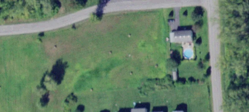 63 Rotterdam Rd