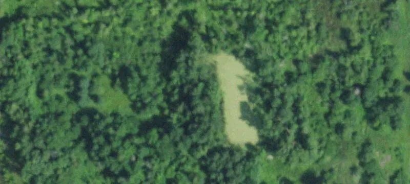 2689 State Rte 11