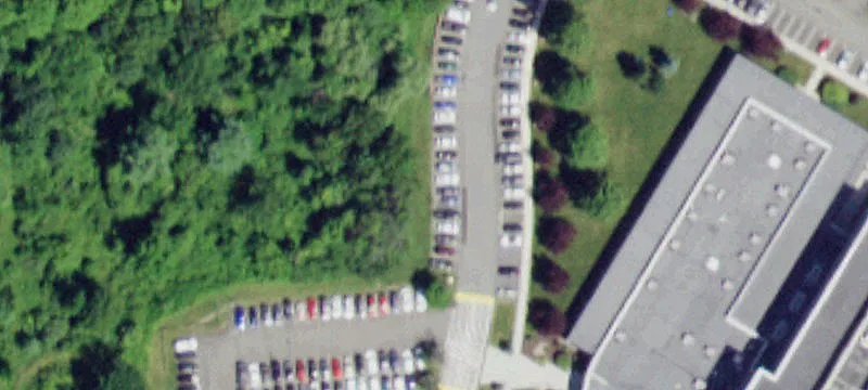 1 Global Vw