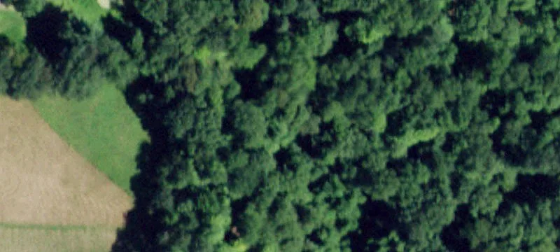 250 Pole Rd