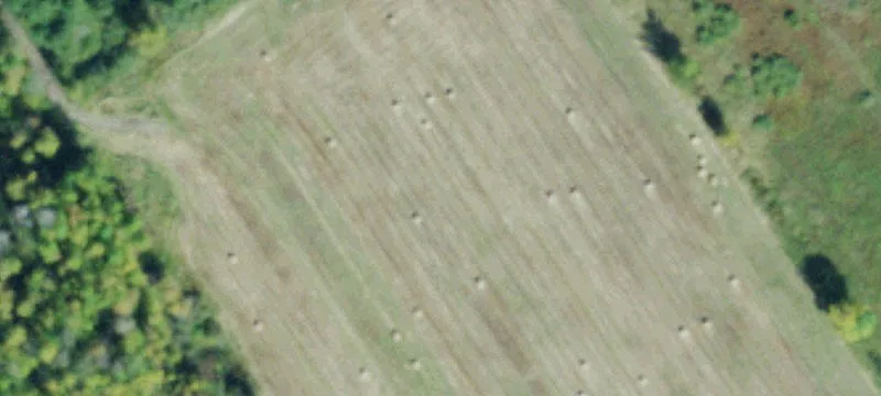 10035 State Hwy 56