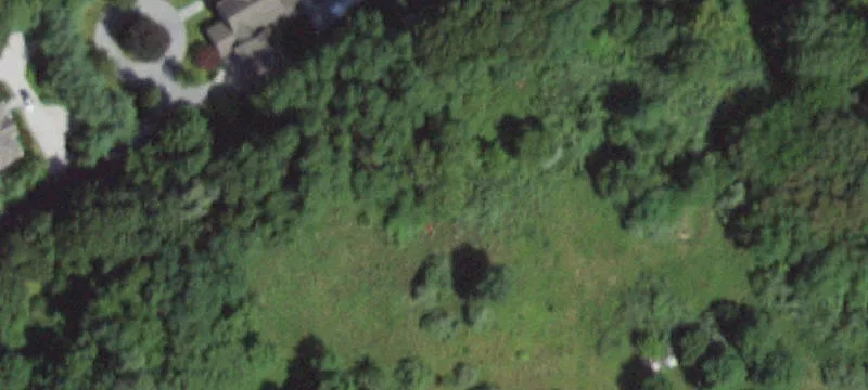 205 Bull Path