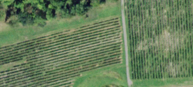 5081 State Rte 414