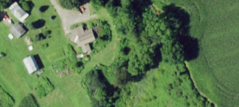 343 Pony Farm Rd