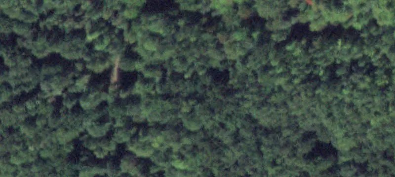 12669 Rdg Rd