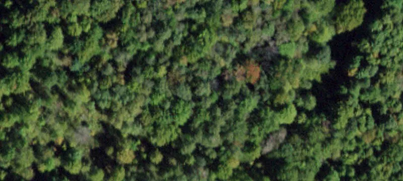 375 Old Newark Valley Rd