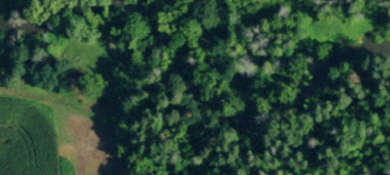 9200 Rdg Rd