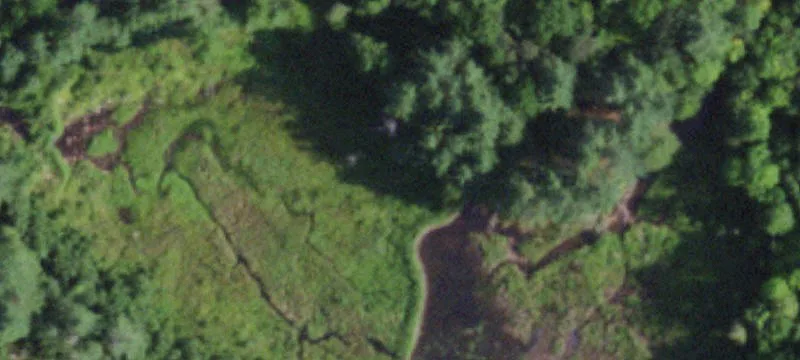 Curtis Read Rd