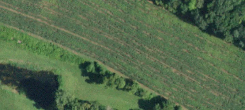 290 Lk Hl Rd