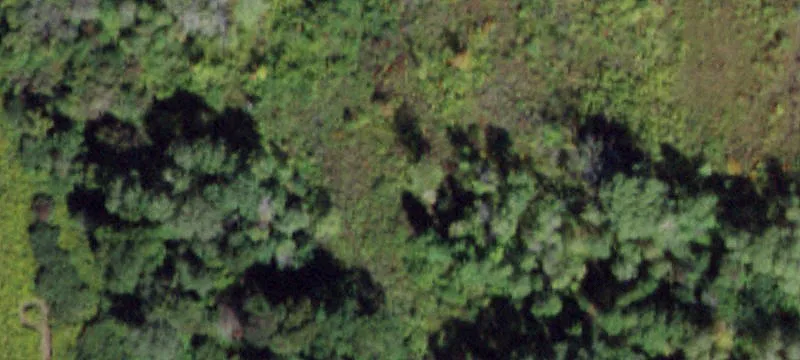 2150 Dryden Rd