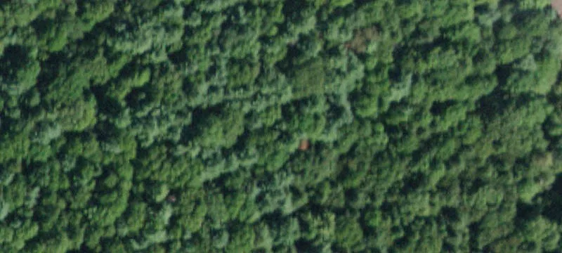 Ashland, NY 12407