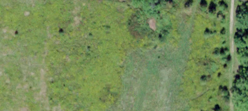 2115 State Rte 208