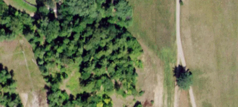 203 Tripp Lk Rd