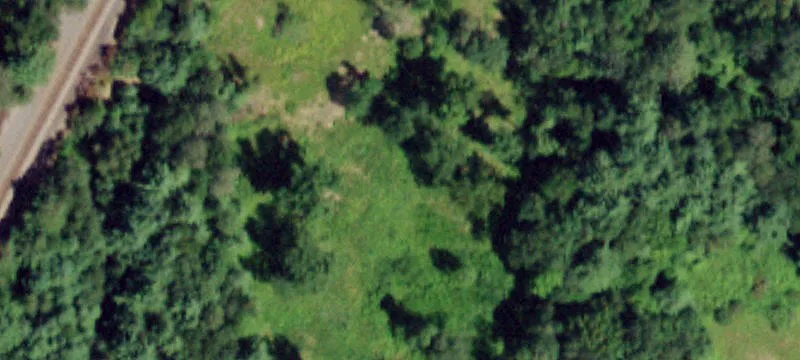 12 Blue Lupine Rd