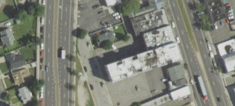 31 William St