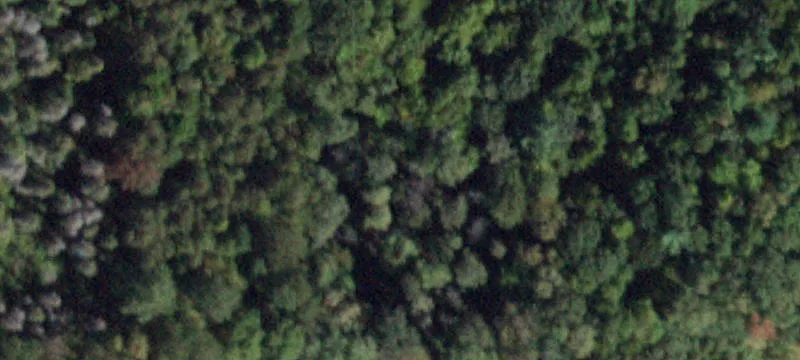 3344 Us Rte 11