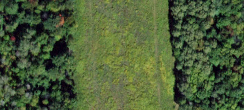 Applegate S Rd
