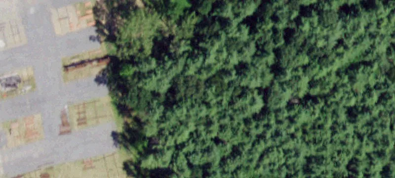 7 Blue Lupine Rd