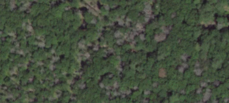 58 Old Country Rd