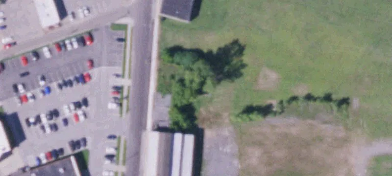 Cedar St