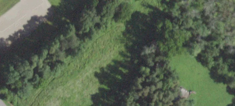 Shenandoah Rd