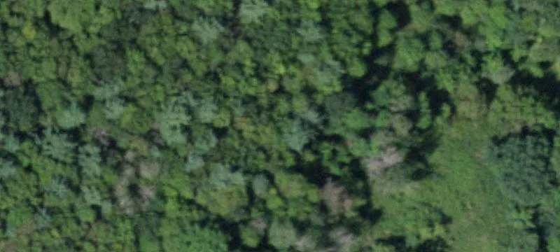 199 Flanders Hl Rd