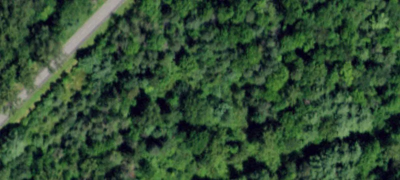 117 Wood Rd
