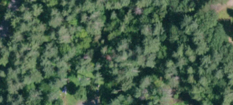 11 Flansburg Ln