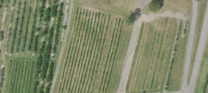 13 Colandrea Rd