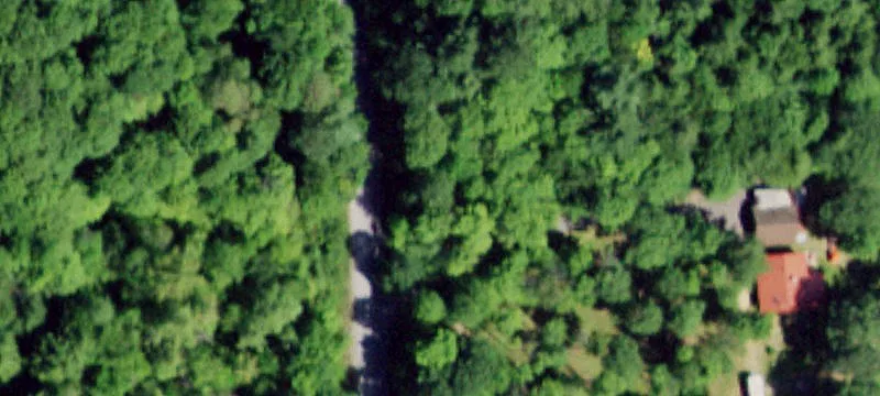 Sly Pond Rd