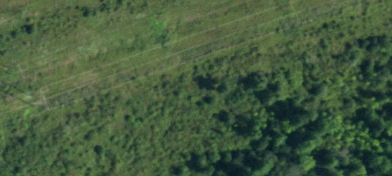 Alden, NY 14004