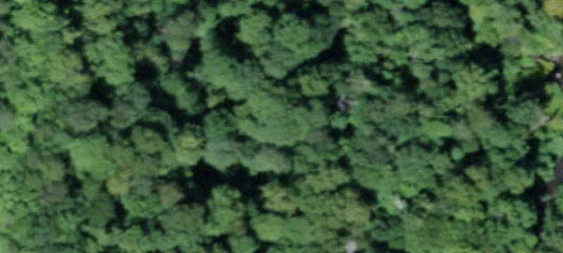 13584 State Rte 12
