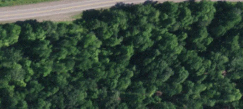2784 County Rd 2a