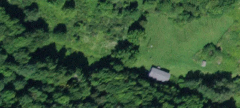 Walton, NY 13856