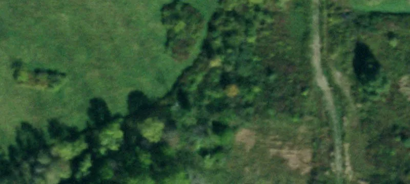 Nys Rte 417