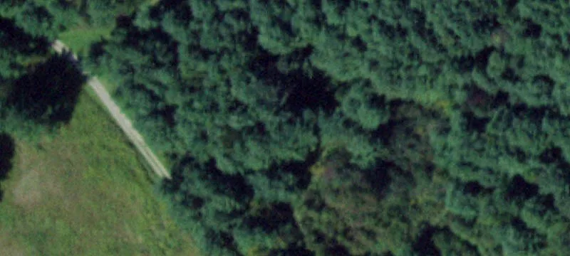 3531 Cemetary Rd