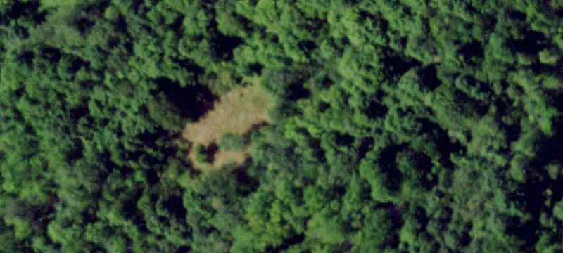 42925 Mud Lk Cp Rd