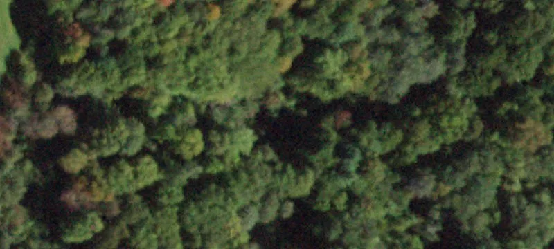 4830 State Rte 26