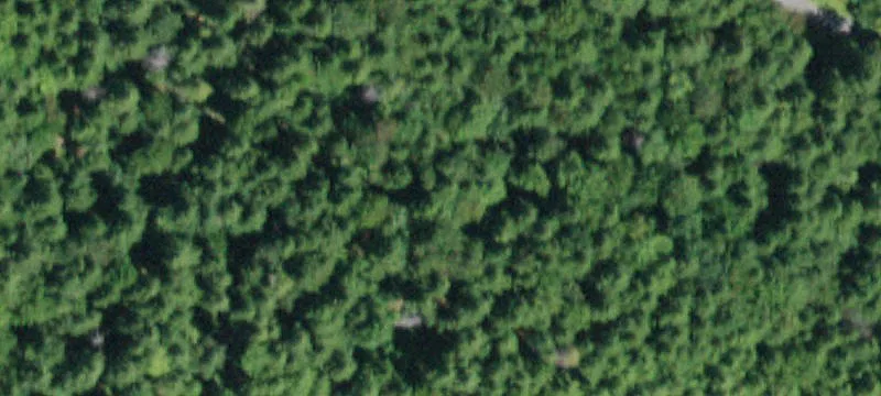 10 Town Of Hunter