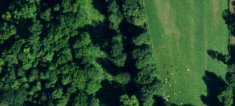 12858 Gowanda State Rd
