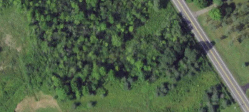3019 State Rte 174