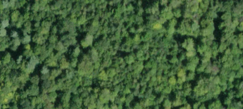 286 Nn Rd